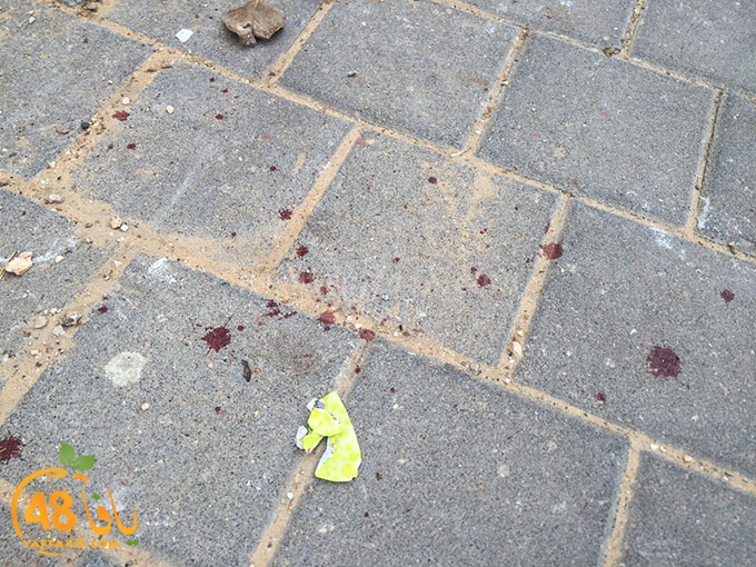 ta3n shamela (4).jpg